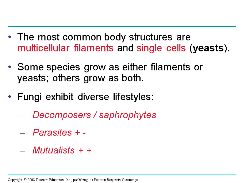 The most common body structures are multicellular filaments and single cells (yeasts). Some species